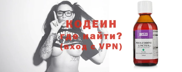 хмурый Горно-Алтайск