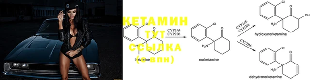 таблы Волосово