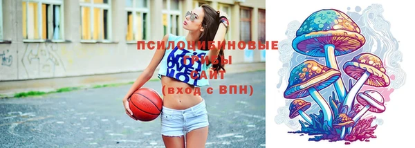 хмурый Горно-Алтайск