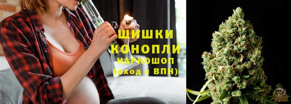 хмурый Горно-Алтайск